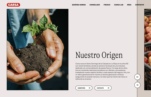 Stationery design of letterhead and business cards for the company Anders on top of a blurred photo of a house interior.