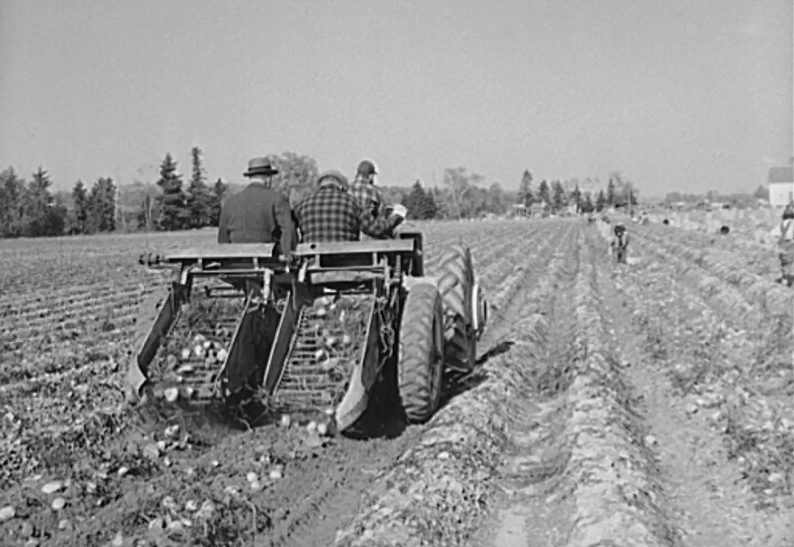 The letters Aa in a typographic diagram